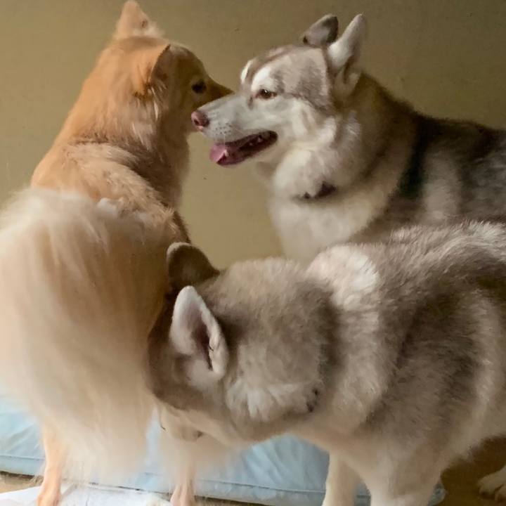 51186304 9c3b 4a1b 8972 d0f7a44420f0 1571417977779