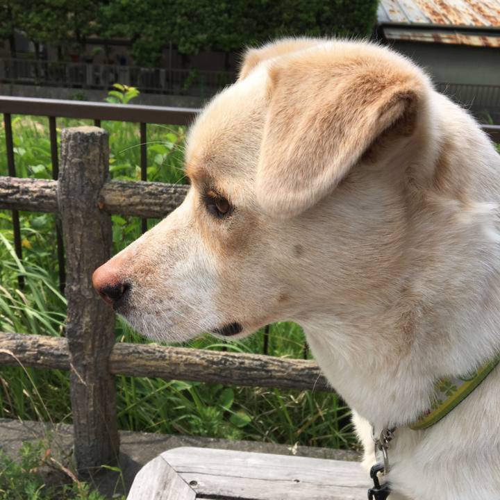 511863ec fbd8 47ba 8977 5a70a827e100 1655355660310