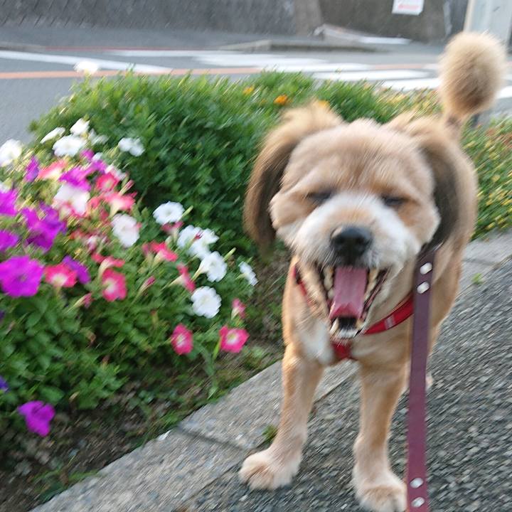 511868ed 2b43 479c 85e1 69aa30eb6229 1564307030122