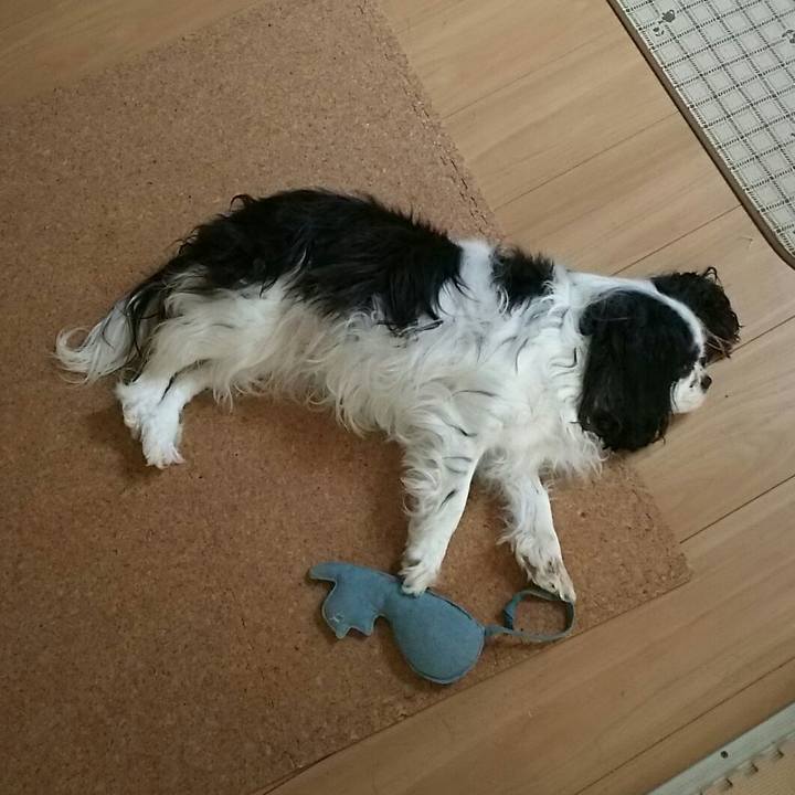 5118721d 9cf1 483a 9822 0580cb48d103 1526568142620