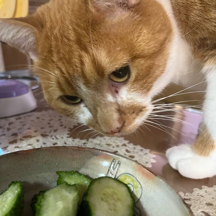 5118778d f7c5 416d b425 54afb22103ce 1754989196698