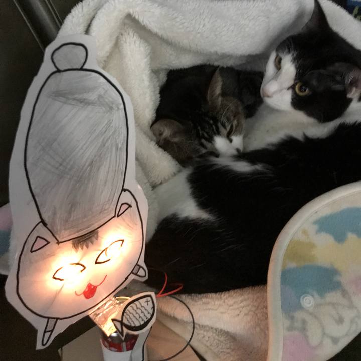 5118a252 2a3e 49b1 8284 334d113b75a5 1516775354332