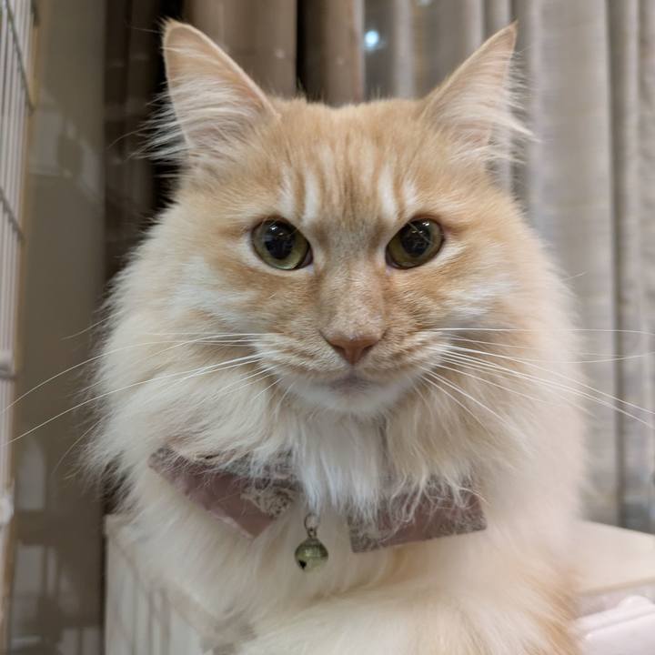 5118be3b 57f4 4a4f b0be fd1bded14593 1742038282539