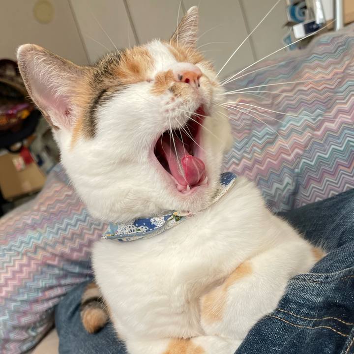 5118d705 6d38 41bd 8feb 7e55bc25b527 1721551929725