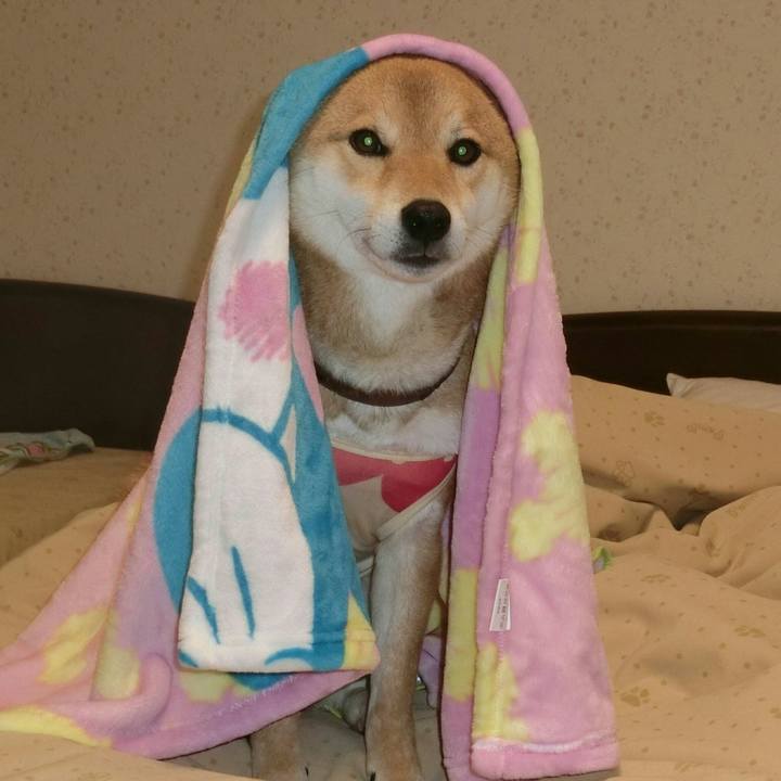 5118d907 f41b 4aff bbb4 9c355d31ba50 1518743847192