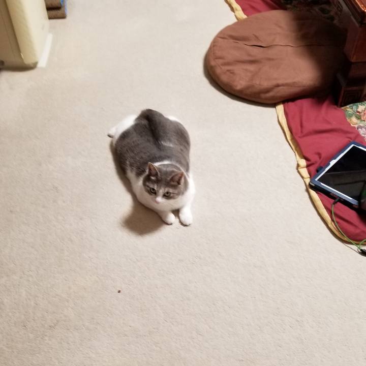 5118ec92 6f61 4d12 b019 cc569abb4037 1633795123691