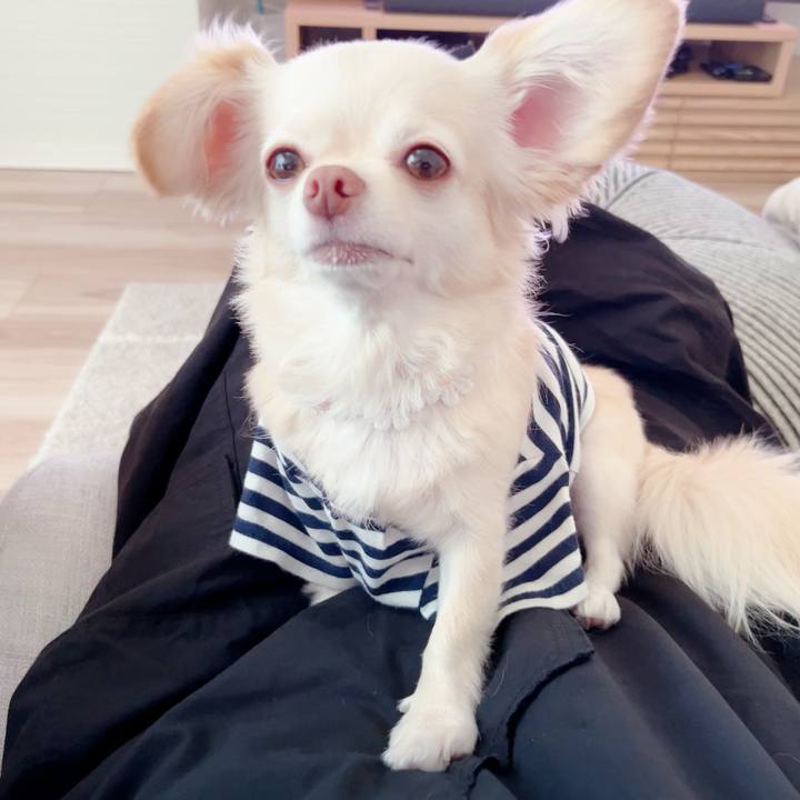 5119398b 79af 444f 8149 375e480dfb3e 1695888771535