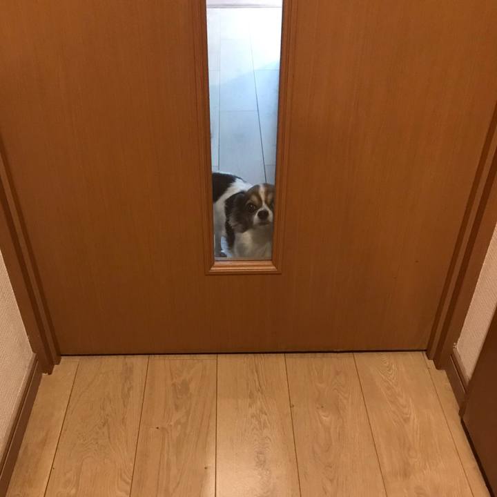 51197638 7596 4ec4 9954 14e57bc7330d 1543155321285