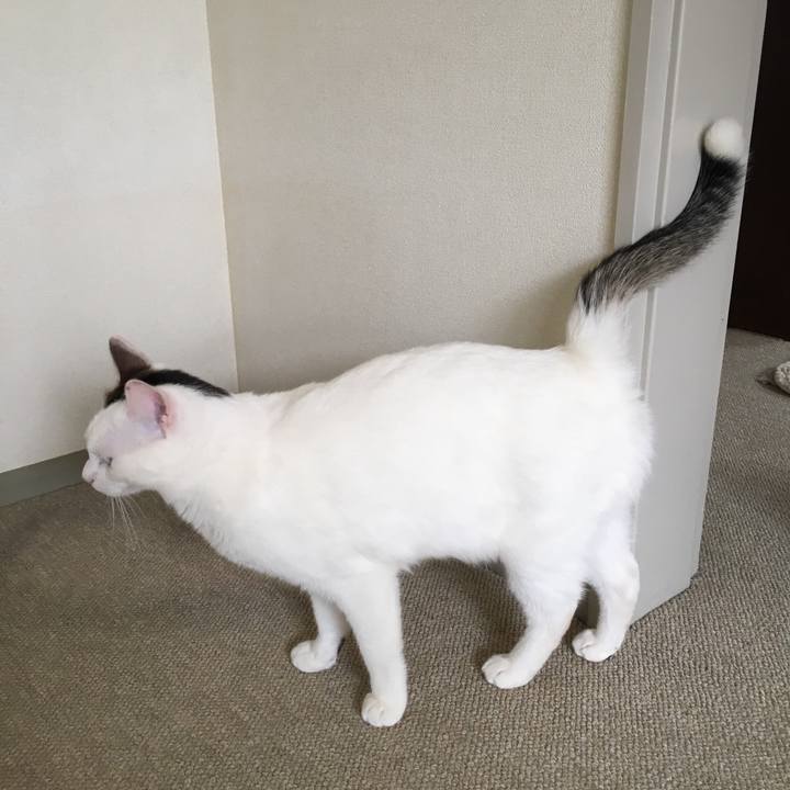 511979aa 29d5 4296 ac6e 897475a52883 1520211162627