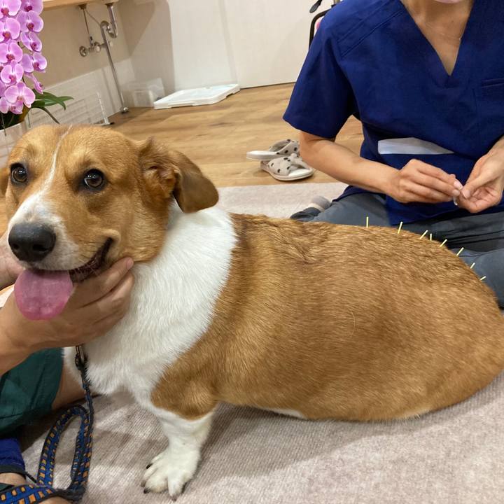 51197fd8 4af6 47e1 9b70 4e1b1418704b 1663113687103