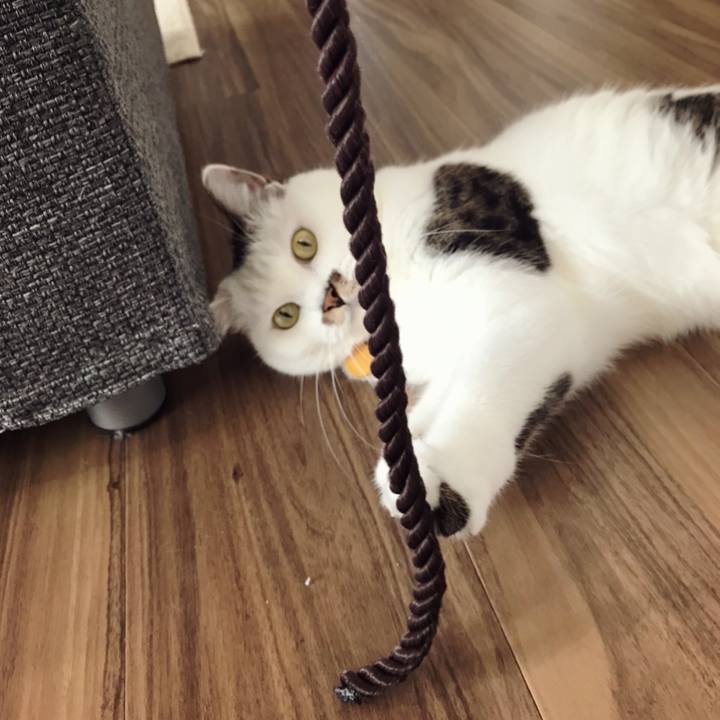 511994d4 2a29 4295 8a9b b7d9280f33ee 1600768630950