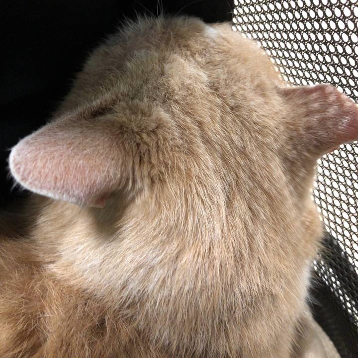 5119a5bf 8611 421b 928a be9809aa9a07 1611453657229