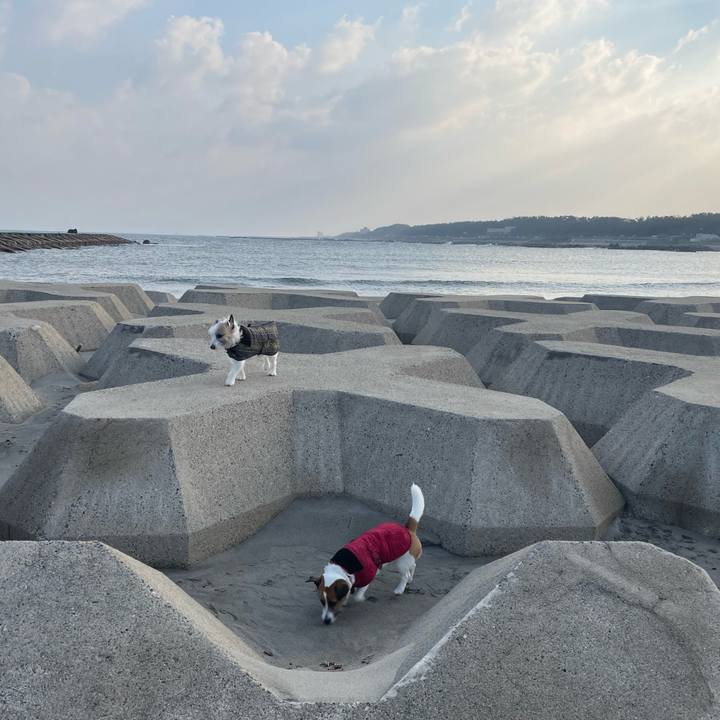 5119ee33 4395 41ff 9958 f5797994c392 1710462617844