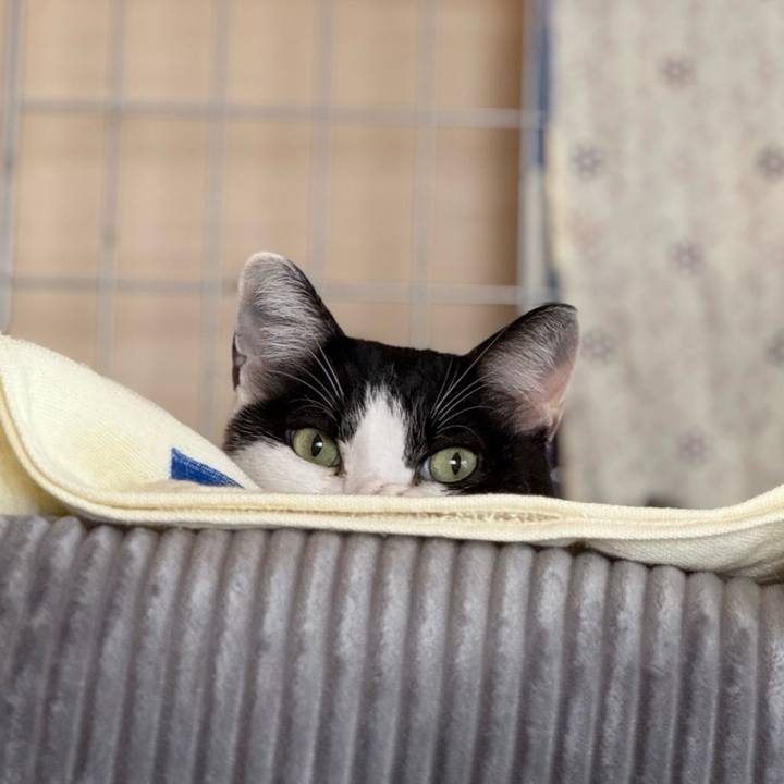 511a049a 3aee 4726 a365 3feea46e52ba 1731806445834