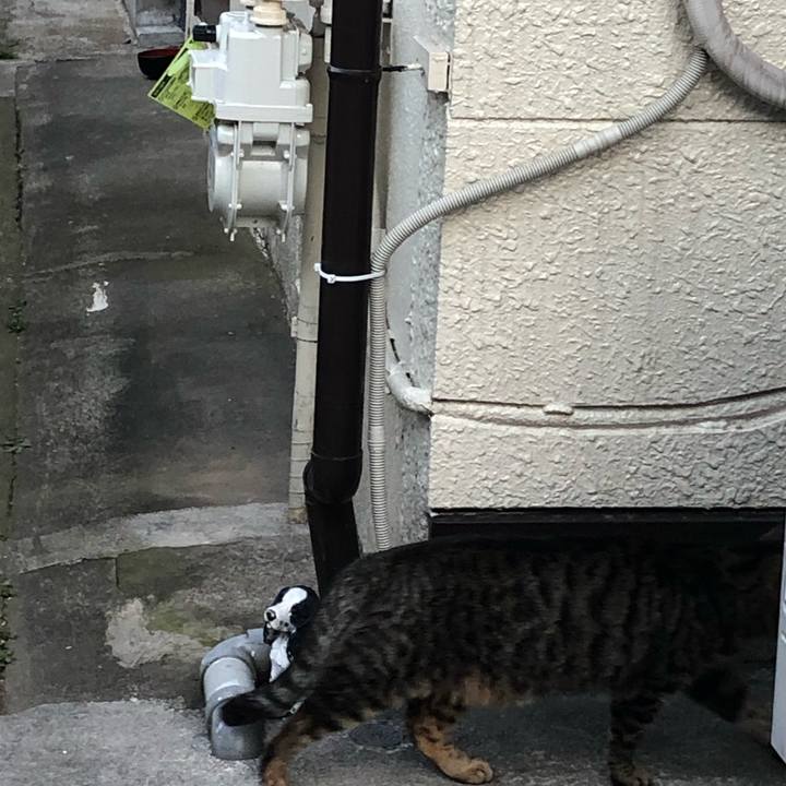 511a1812 adf4 4fa6 ad9e a67471bcd318 1556987763789