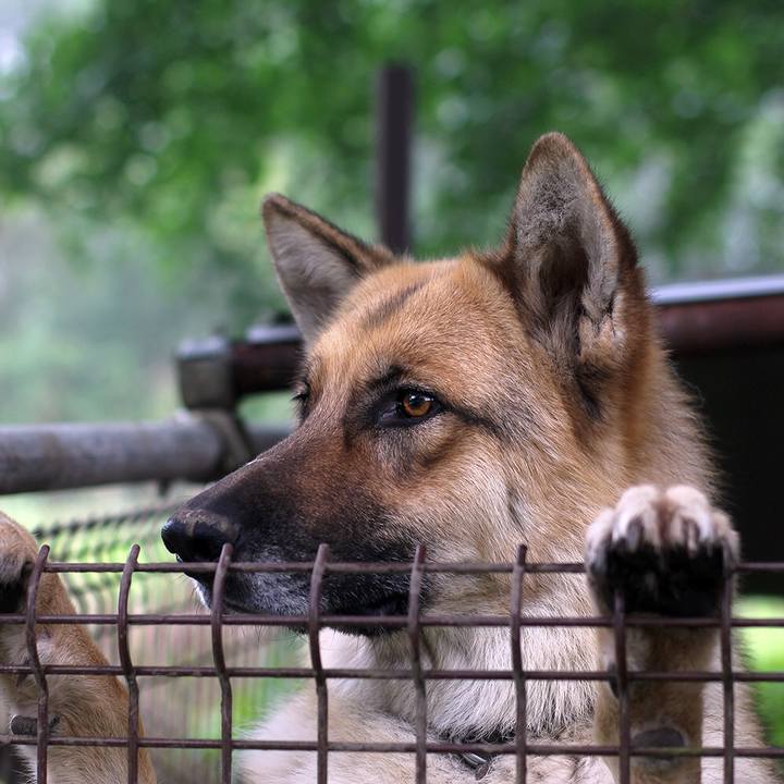 511a3653 ca68 41fd 98b1 12d54210e0fa 1596025269242