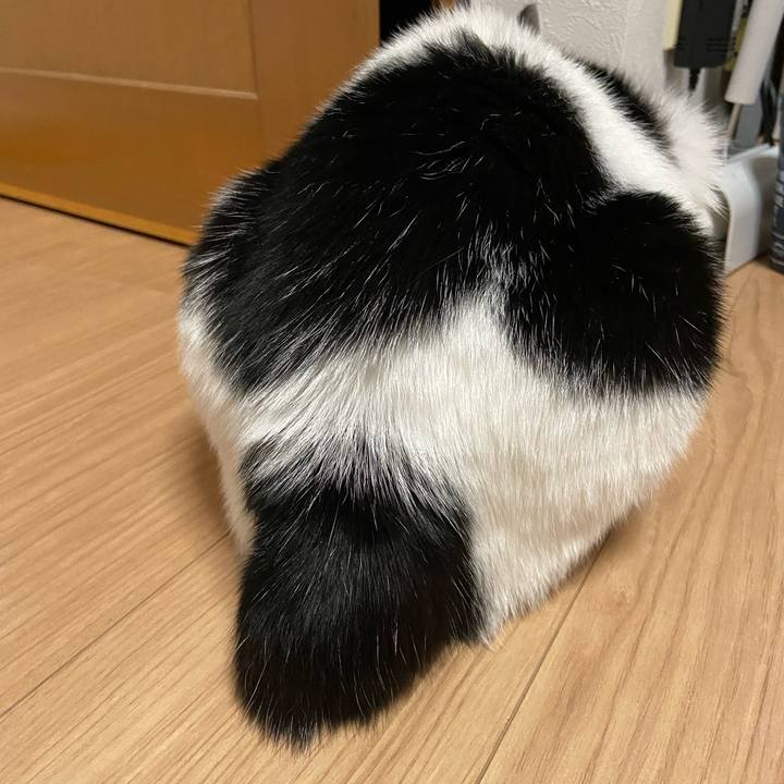 511a867b 555e 453d 85fc f02f5f6dbb3f 1584713629167