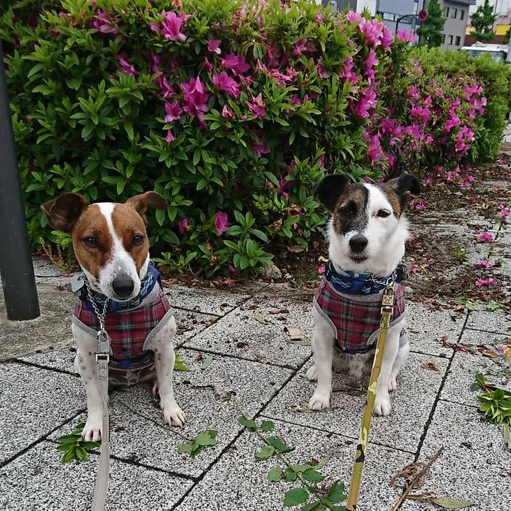 511adab3 ec2a 4134 beb2 0d80a7c294b1 1589066079252