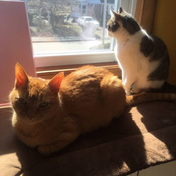 511ade4f c43d 46bc 88c2 ae0f05f221f2 1633393618718