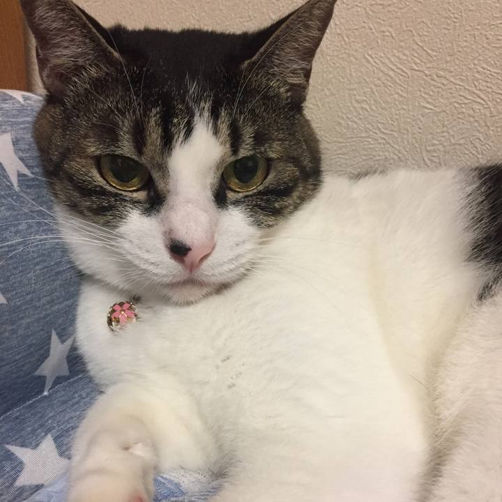 511ae5ac f1c3 4c83 9d5b a53f4ce7e6f0 1531317133646