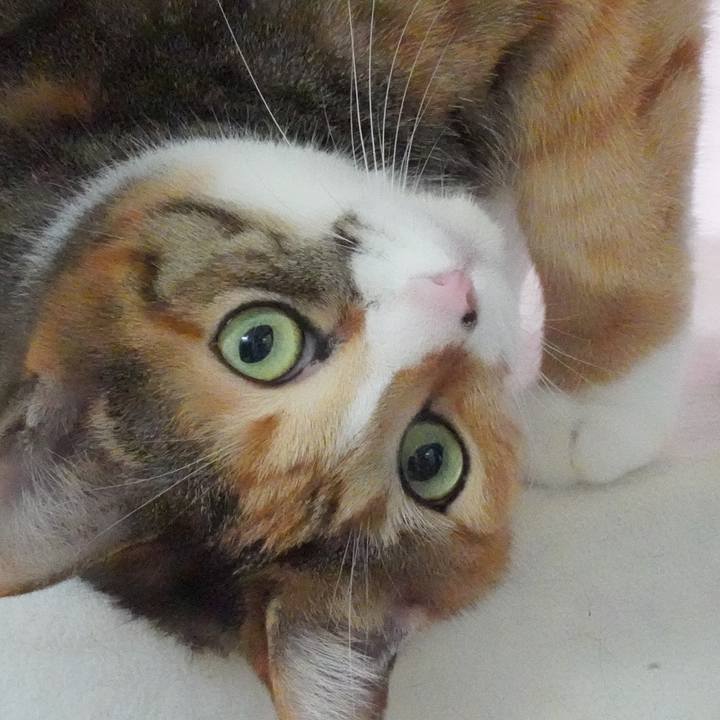 511b1786 661f 41b9 b3fd 444a83992afe 1698709518098