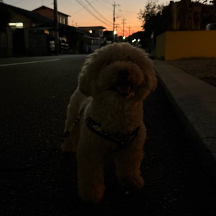 511b263d 45bf 4cf5 b357 b2880930b434 1760525363205