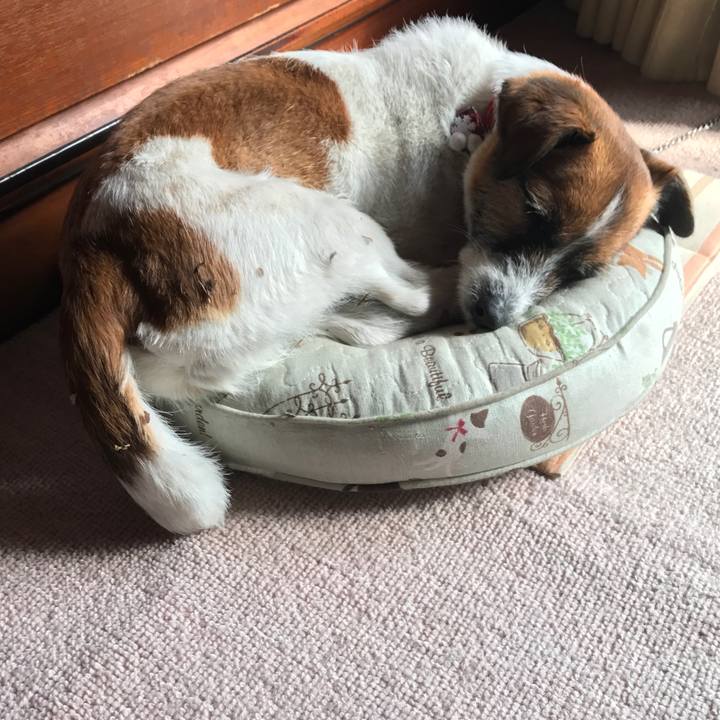 511b2931 3477 44d3 9497 97da14d727ea 1518841237222