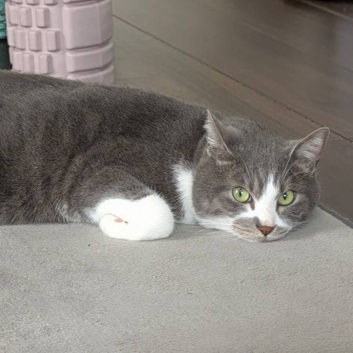 511b2d34 0571 4135 91ca 830855df6ea8 1747364135001