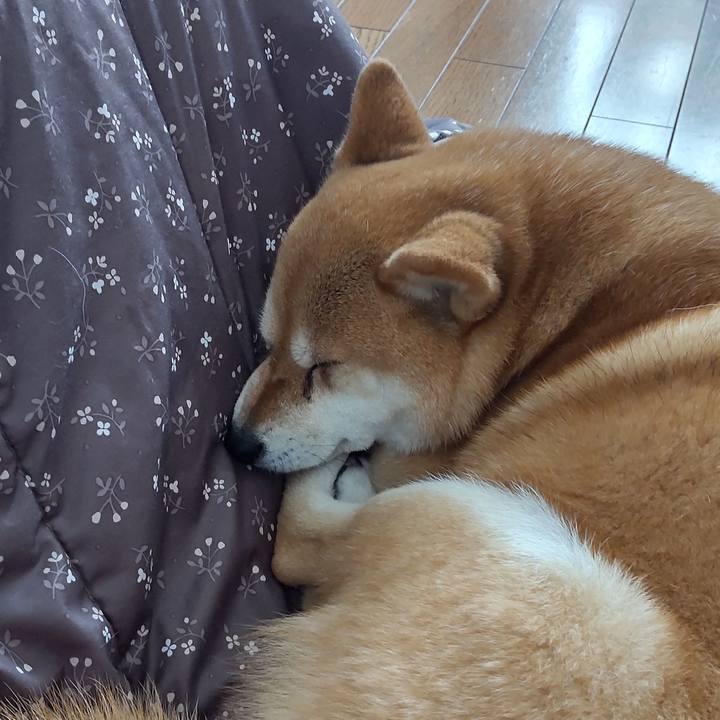 511b2d91 8851 42f7 88a0 22e3b586adfb 1745730520077