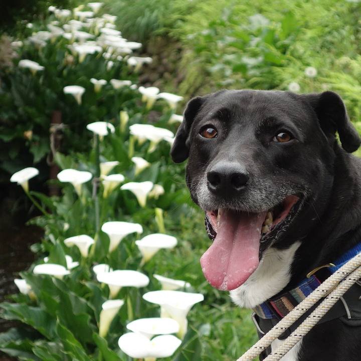 511b429a 2240 471c 82b1 bc071c8313eb 1713919578522