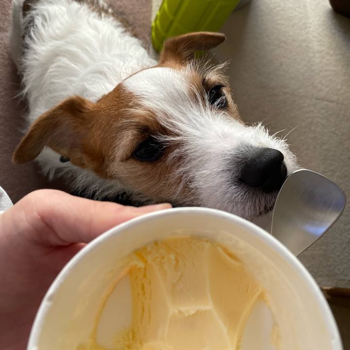 511b4305 dae6 471b 914c de9ac44abe9d 1741518268375