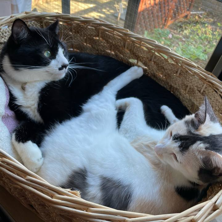 511b97e6 fe41 444a bb6f 76f8c3014afb 1731902220887