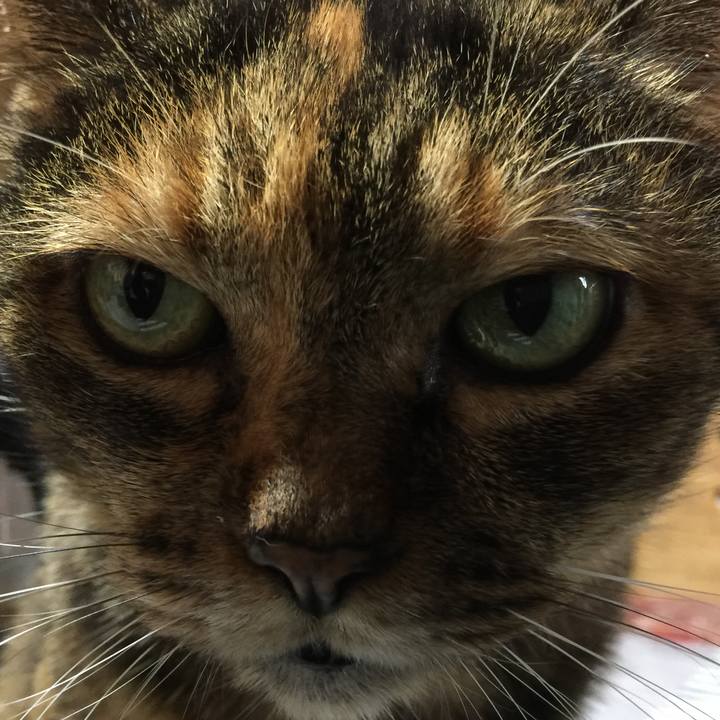 511bf10b 6f14 4548 b0fa 1851e02a59dc 1539665891576