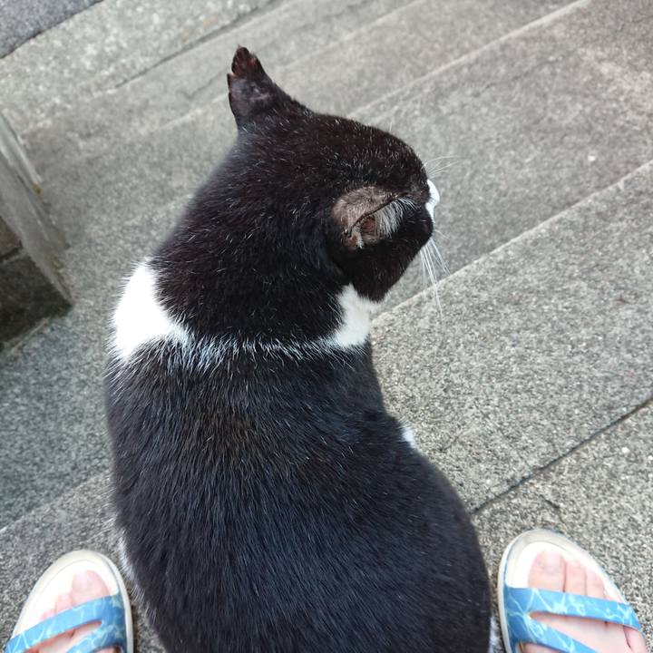 511bfc46 ca4a 44e4 bf1c 6a38b16da651 1599647219397