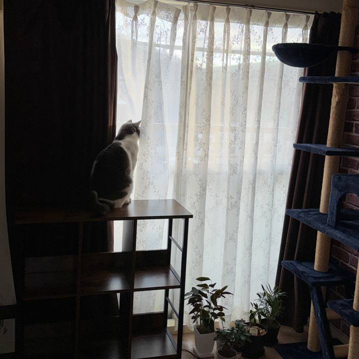 511c1cfe 158c 4055 b350 659f4e58404b 1764831173093