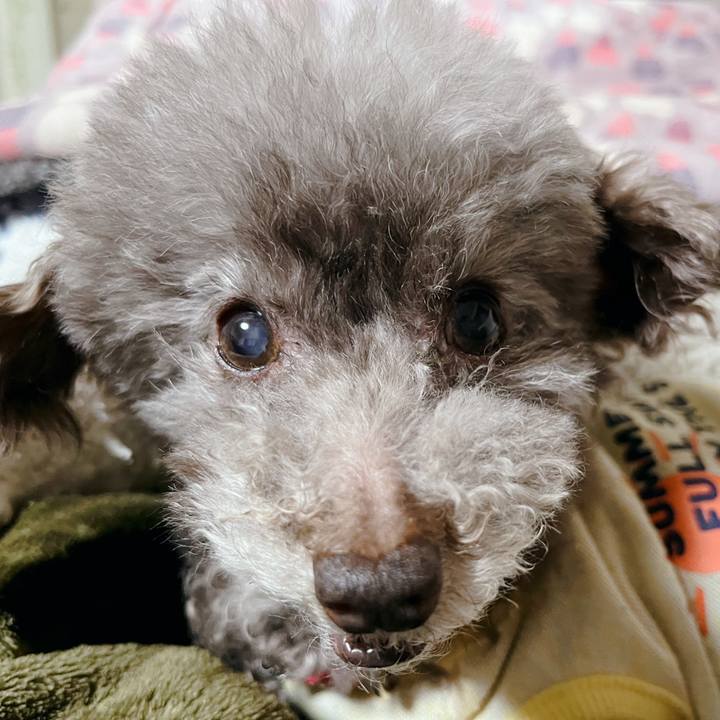 511c7716 ca5b 48c7 b6cc 788998cc5723 1713174486484