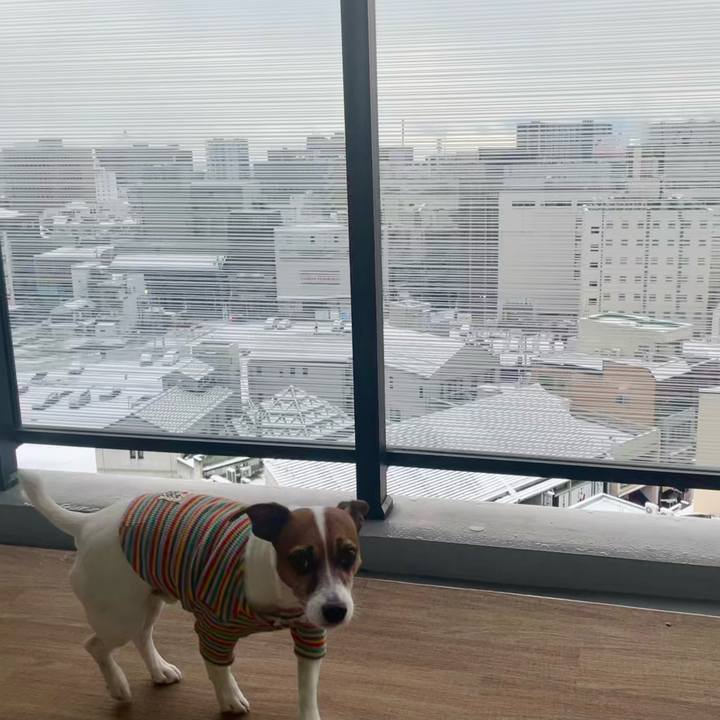 511c86a8 4704 4785 a95e 86ce1224f3ce 1736290121464