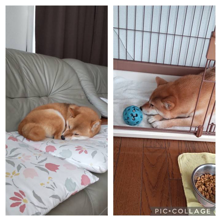 511c94e6 5ac7 4489 a3f1 2418090728d3 1684633092294