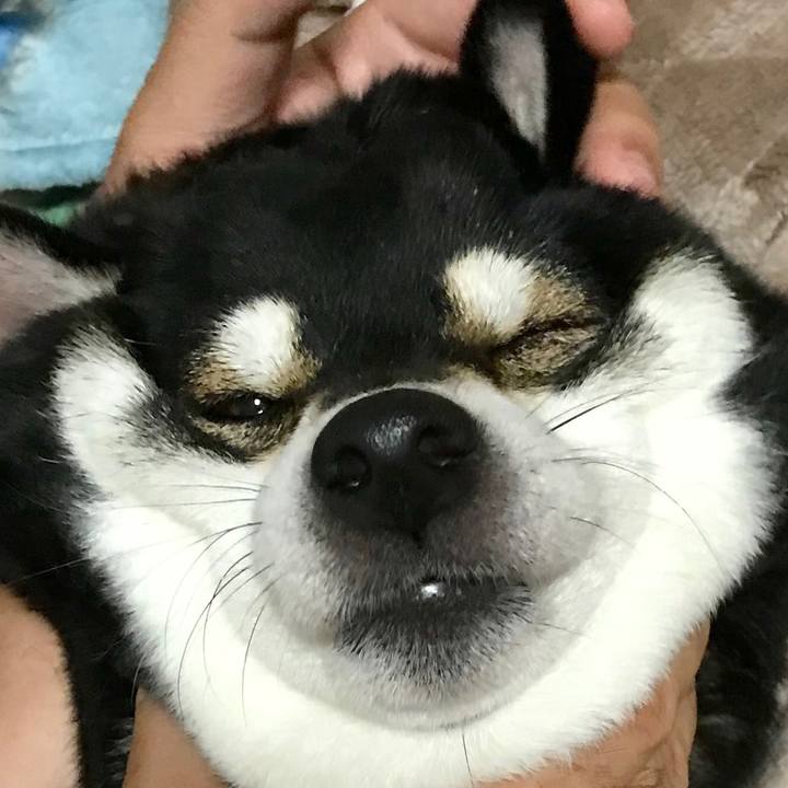 511cadd5 4a58 4865 a32b 6d1cbb9f626f 1511362134976