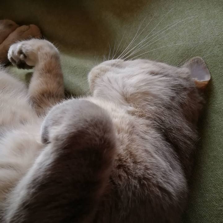 511cdfa9 9d5f 4b2d 8c24 90636d2eaf2f 1554020205720