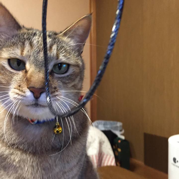 511d7172 dd53 4348 9cb7 b8a471812935 1548714708565