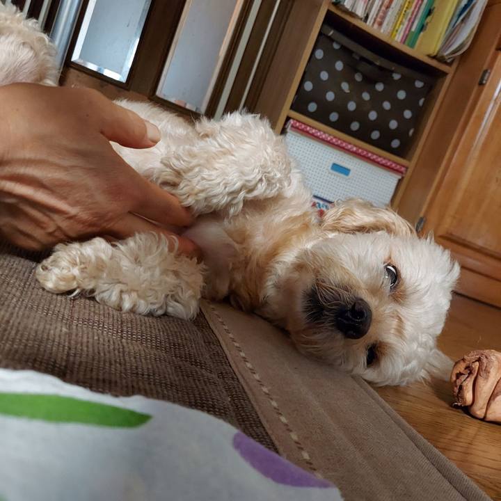 511d74e9 0434 4198 9000 fa1989e98682 1630122788998