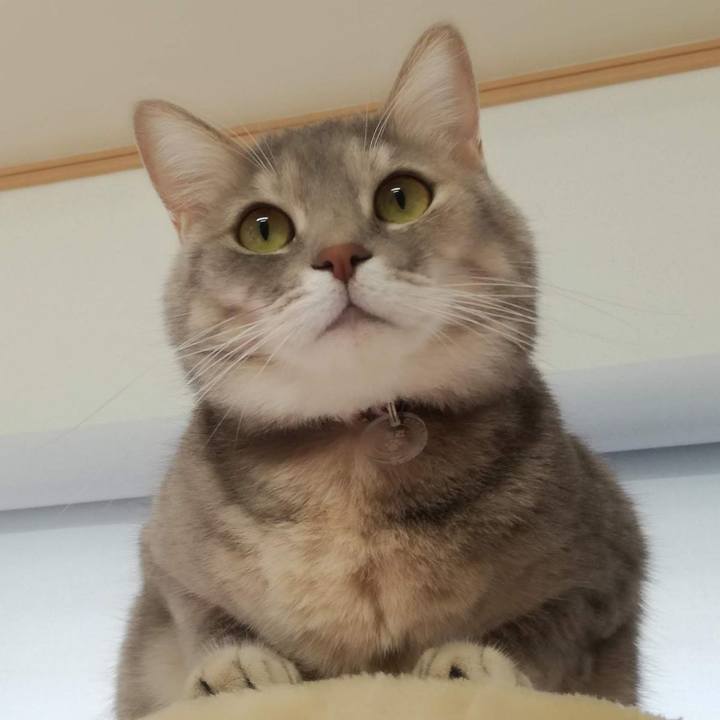 511d8cd8 5a51 448e a33c 9ab184f6d8f4 1542269863315