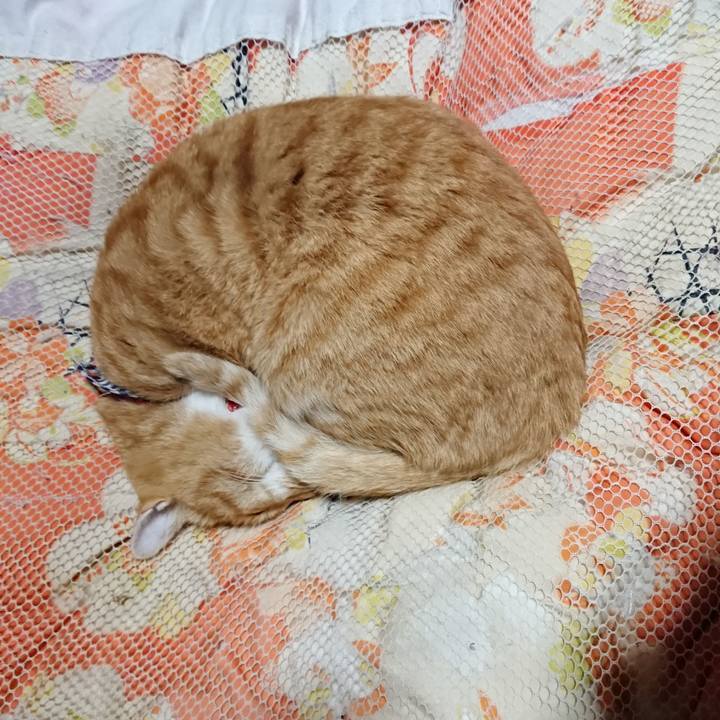 511d90ef 510d 497b 9468 929d33a953ba 1574338079935