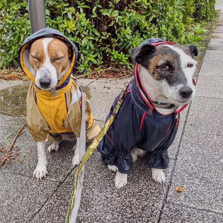 511db2be 7279 4874 8abe beb04cc387c5 1665700777289