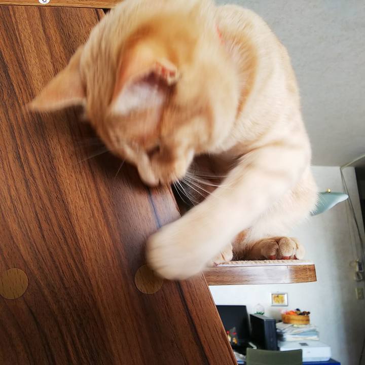 511e0c3a f0cc 4af9 8620 a3cdab337714 1555104648402