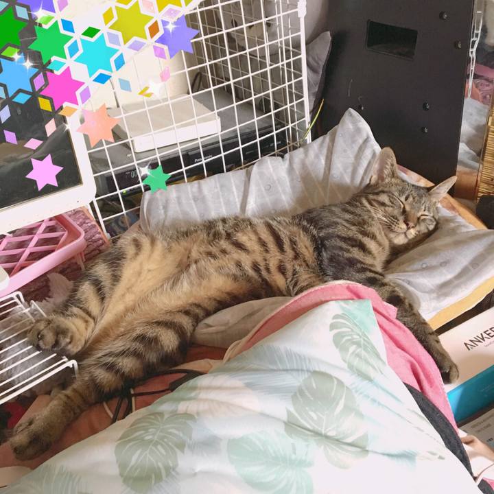 511e2355 a532 4b9d 964c 5dfd95b98dbd 1559520542765