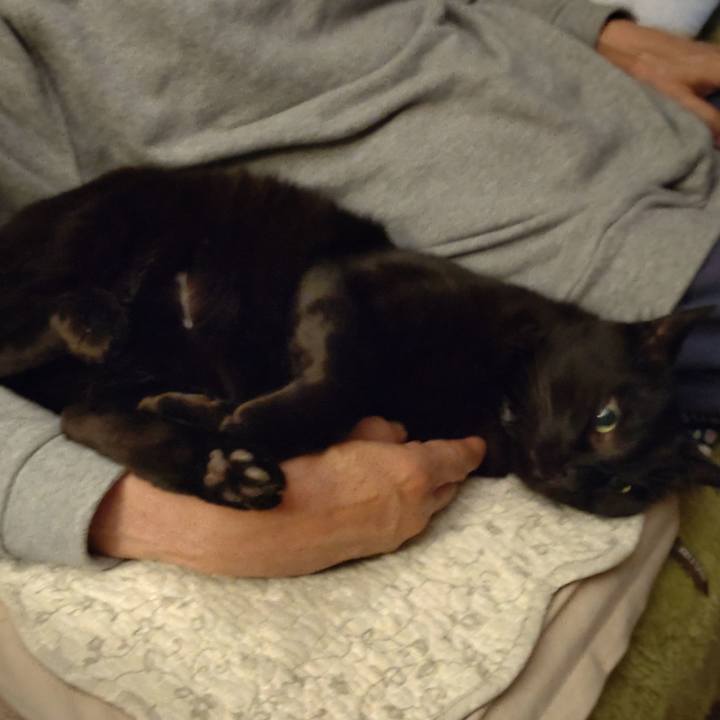 511e3353 4dba 4983 9768 7c57edba33ec 1651240725786