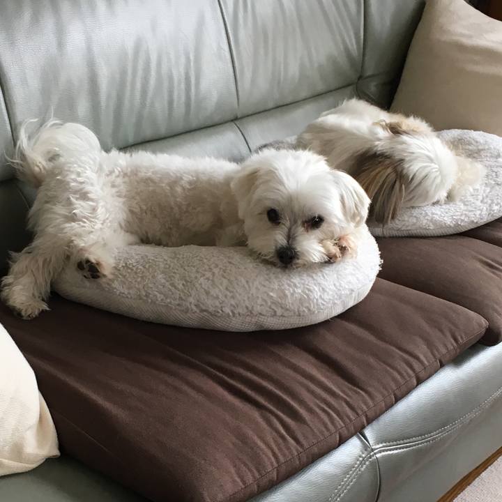 511e6874 1410 4858 9bc6 2f5099e50ce9 1557192371088