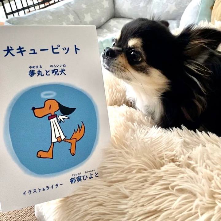 511e6b19 ae4b 4f97 ba8d d1d1cd08ad89 1632029215863